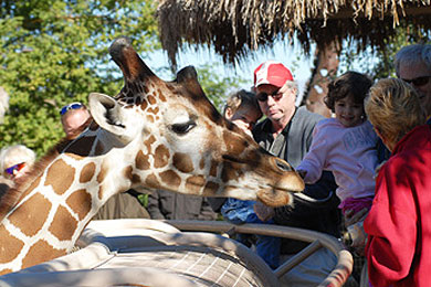 Living Desert (Palm Desert, CA) 2023 Review & Ratings | Family Vacation ...