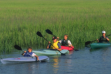 4-H Tidelands Nature Center (Jekyll Island, GA) 2023 Review & Ratings ...