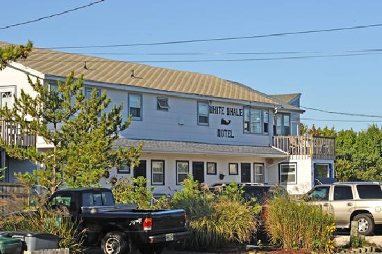 Barnegat Light Nj Motels | Americanwarmoms.org