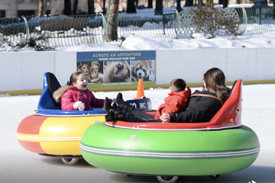 ice bumper cars providence