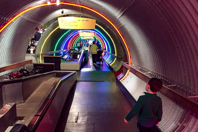 Brooklyn Children’s Museum ;Courtesy of TripAdvisor Traveler/Michael K