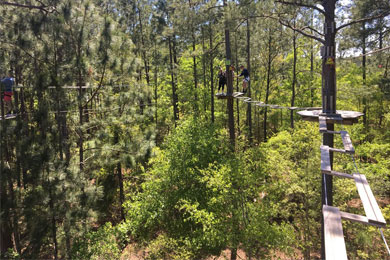 Go Ape Treetop Adventure Little River Sc 21 Review Ratings Family Vacation Critic